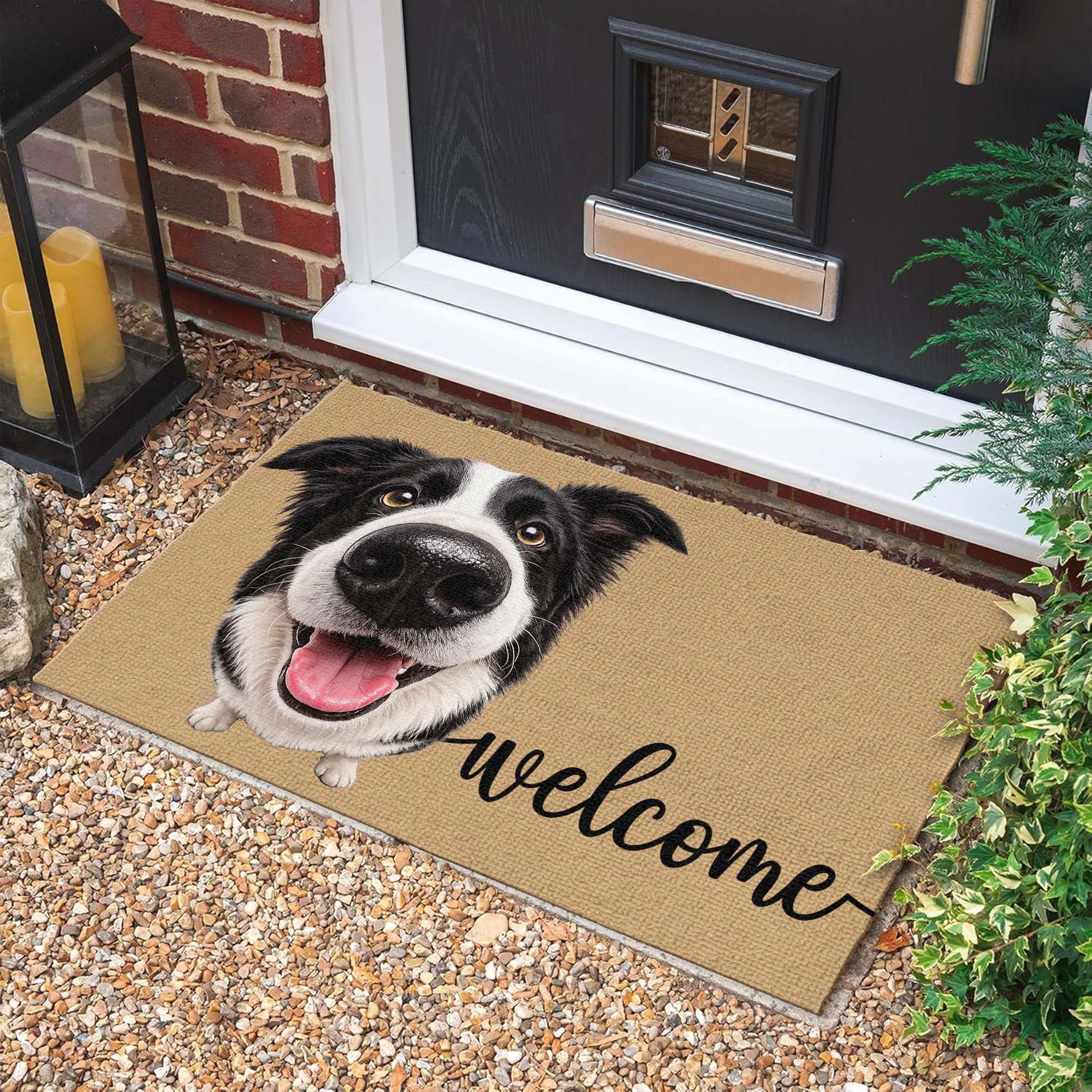 Custom Funny Pet Face Welcome Home Doormat - Personalized Gift For Pet Lovers CH07 911938