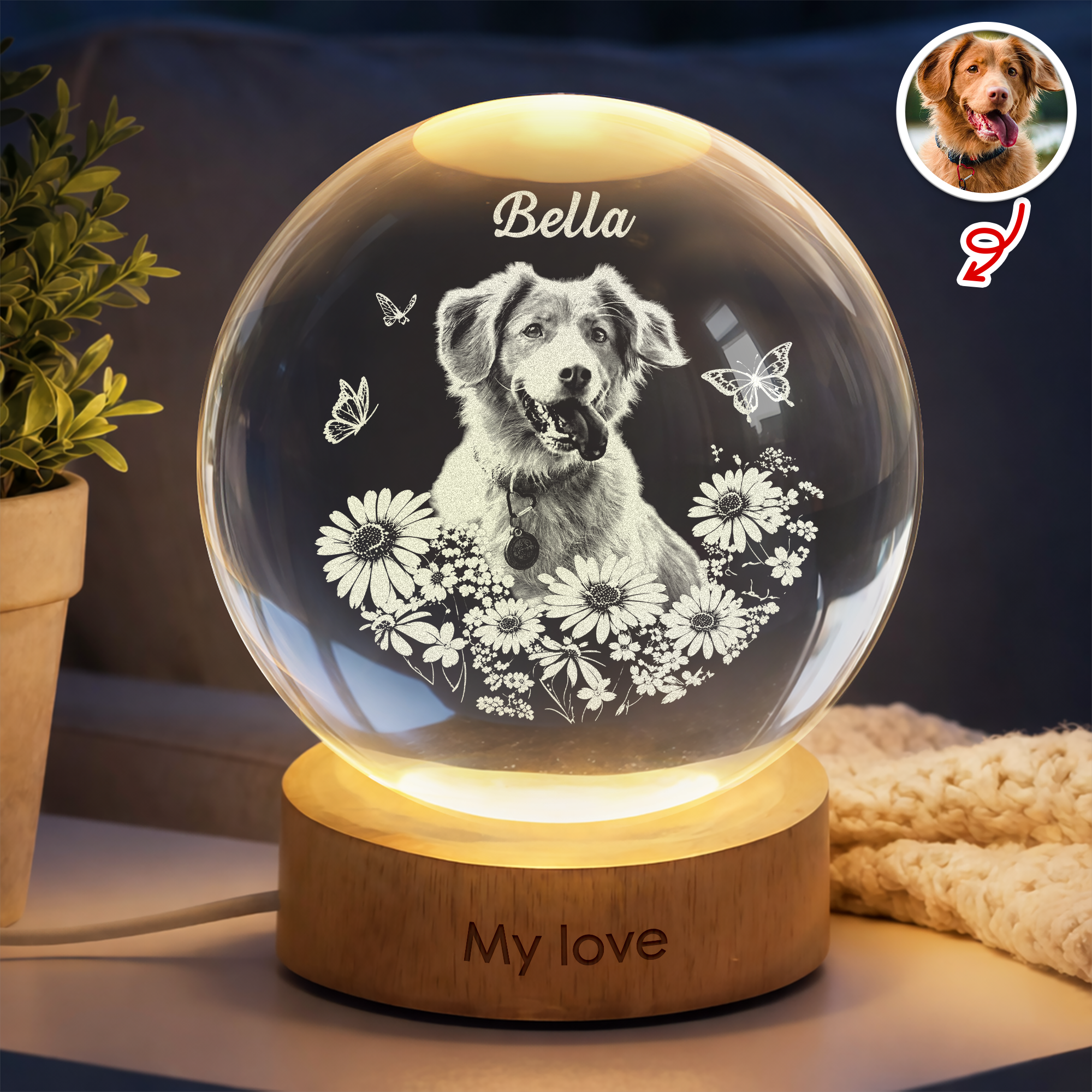 Custom Photo Pet Forever in My Heart Memorial Personalized Engraved Crystal Ball LED Night Light HA75 921884
